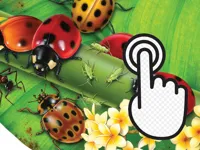 image Ladybug Clicker