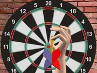 image Darts 501 and more
